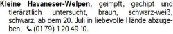 Vorschaubild der Anzeige, (Id: 1955787)