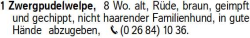 Vorschaubild der Anzeige, (Id: 1957526)