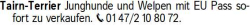 Vorschaubild der Anzeige, (Id: 1973876)