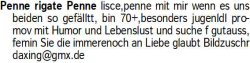 Vorschaubild der Anzeige, (Id: 1975878)