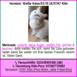 Vorschaubild der Anzeige, (Id: 2004969)