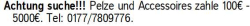 Vorschaubild der Anzeige, (Id: 2042405)