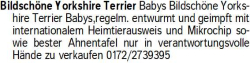 Vorschaubild der Anzeige, (Id: 2058974)