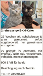 Vorschaubild der Anzeige, (Id: 2059040)