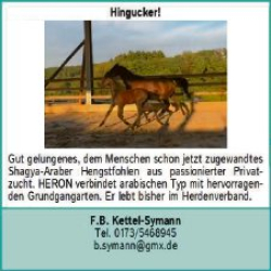 Vorschaubild der Anzeige, (Id: 2078477)