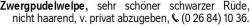 Vorschaubild der Anzeige, (Id: 2084279)