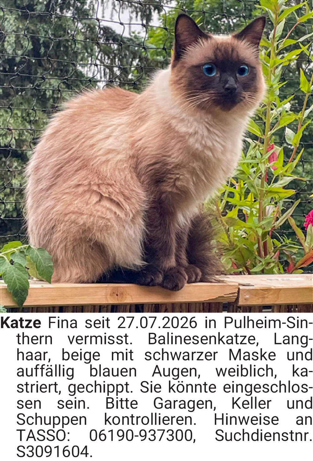 Vorschaubild der Anzeige, (Id: 2072327)